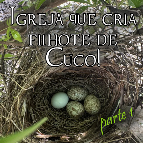 Igreja que cria filhote de Cuco! (parte 1)